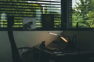 Żaluzje drewniane, plisy, rolety dzień – noc. Jak dobrać rolety wewnętrzne do stylu wnętrza ?